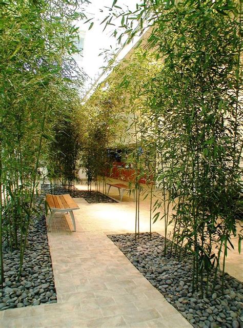 Indoor Bamboo Garden Award Winning Landscapes Nyc Minimalist Garden