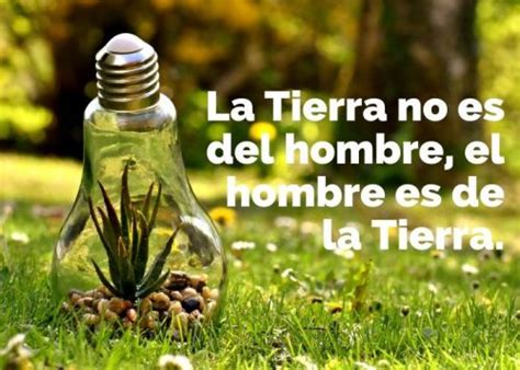 Dia De La Tierra 2020 Imágenes Frases Actividades