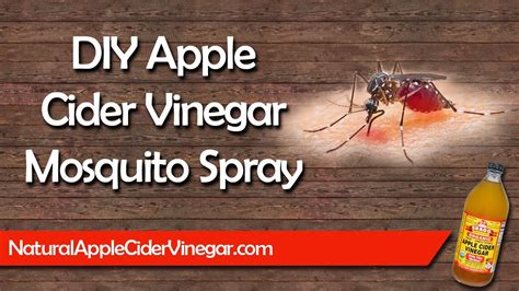 Diy Apple Cider Vinegar Mosquito Spray Repellent And Itch Relief Youtube