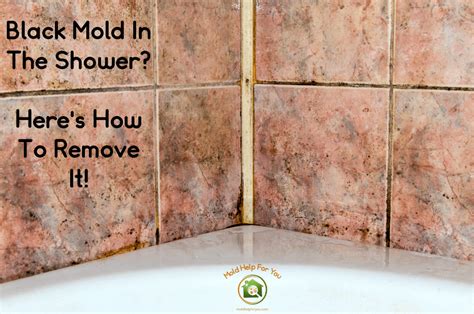How To Get Rid Of Mold In Your Shower Veh Ev Info
