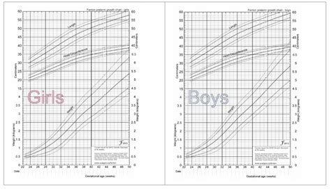 Assessing Your Preemies Growth In The Nicu Prolacta Bioscience