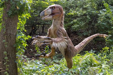 The Best Robot Dinosaurs for Toy Collectors and Enthusiasts