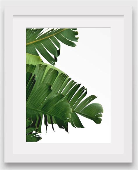 Banana Leaf Print Abstract Tropical Leaf Summer Art Etsy