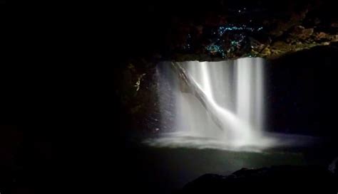 How To Visit Natural Bridge Glow Worms Cave A Magical Experience