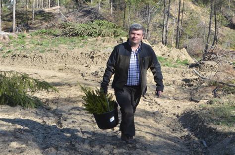 Lecție de șantaj în guvernul româniei. Șeful Ocolului Silvic Vama, inginerul Gelu Puiu, pentru a ...