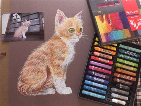 Oil Pastel Cat Portrait Cat Original Painting Cat By Nekomeart Custom
