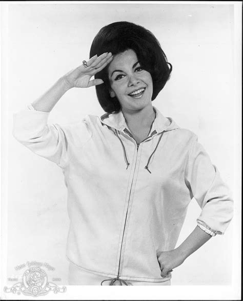 annette funicello