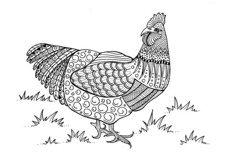 Colorful Chicken Adult Coloring Page | FaveCrafts.com Those people or adults do not have time to see adult's coloring pages for that person we have provided coloring pages pdf for adults.