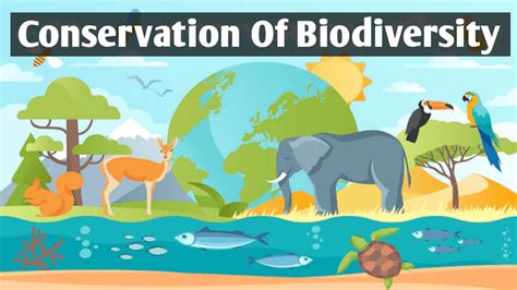 Biodiversity Conservation Different Methods And Strategy Knowledge