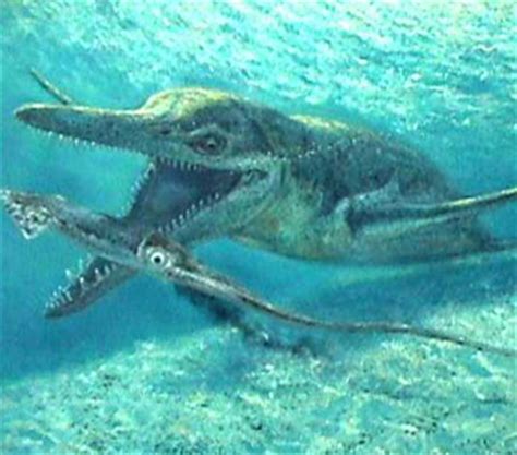 Kronosaurus jurassic & prehistoric sea monster mini documentary when your nightmares become a terrifying reality! Kronosaurus | Science Facts