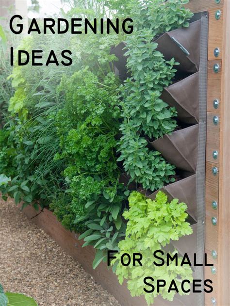 Gardening Ideas For Small Spaces Photograph Gardening Idea