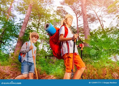 Two Boys With Backpacks On The Hike In Forest Stock Image Image Of