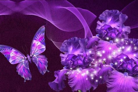 Purple Butterfly Wallpaper ·① Wallpapertag