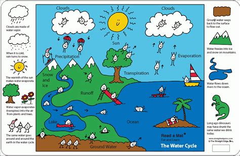 (opens in a new window). The Water Cycle - A place mat for kids