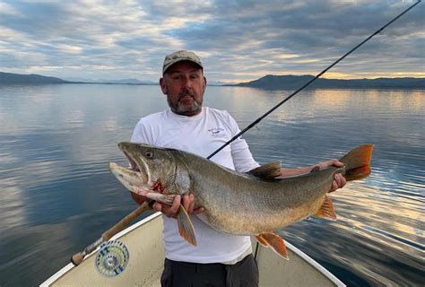 Find top brands, best prices, and great service at america's tackle shop. Giant lake trout fishing in USA - Drowning Worms