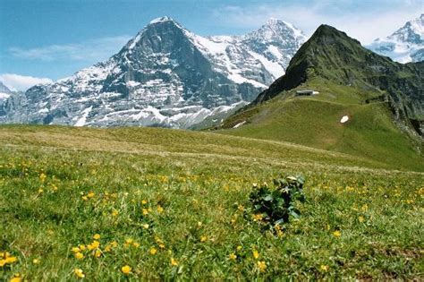 Lauterbrunnen Photos - Featured Images of Lauterbrunnen, Jungfrau