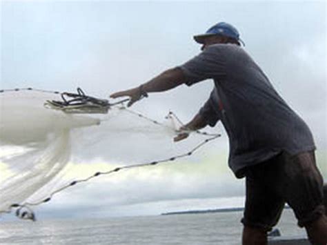 Ley General De Pesca Y Acuacultura Pesca Información