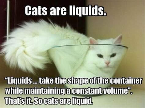 Cats Are Liquids Science Jokes Science Humor Humor