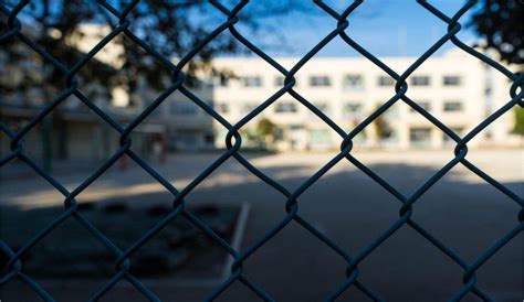 Comprehensive Security Solutions In Our Schools Jacksons Fencing