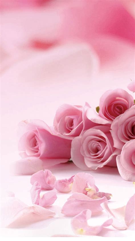 Wallpaper With Pink Roses And Petals For Iphone Pink Flower Wallpaper