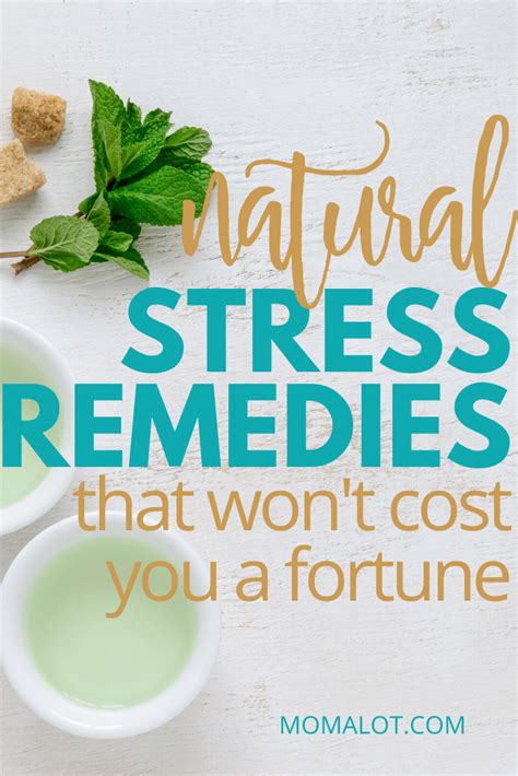 Natural Stress Remedies That Wont Cost You A Fortune In 2020 Natural