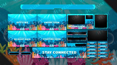 Best Twitch Overlays Collection Free And Premium Hexeum