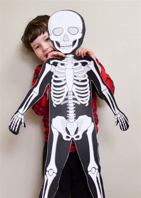 Life Size Printable Human Skeleton For Kids