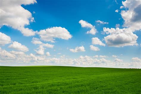 Green Grass And Blue Sky With White Clouds Stock Photo Image Of