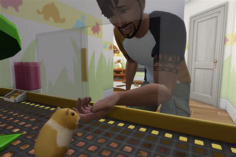 How To Get Hamsters In Sims 4 Hamster Spruce