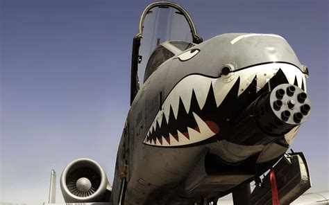 A 10 Warthog Shark Plane