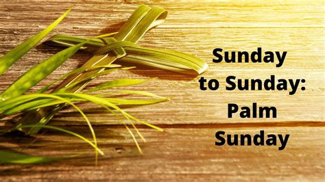 Sunday To Sunday Palm Sunday Youtube