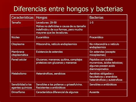 Cuadros Comparativos Entre Hongos Y Bacterias Cuadro Comparativo