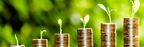 Green Bonds Esg Sustainable Or Impact Investments