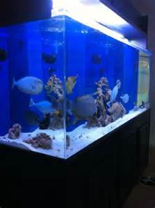 400 gallon acrylic aquarium for sale. It has everything you need T5 