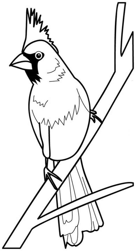Christmas is the most wonderful time of the year because it s the time when all of the world s children receive gifts. Cardinal Bird Coloring Page: Cardinal Bird Coloring Page ...