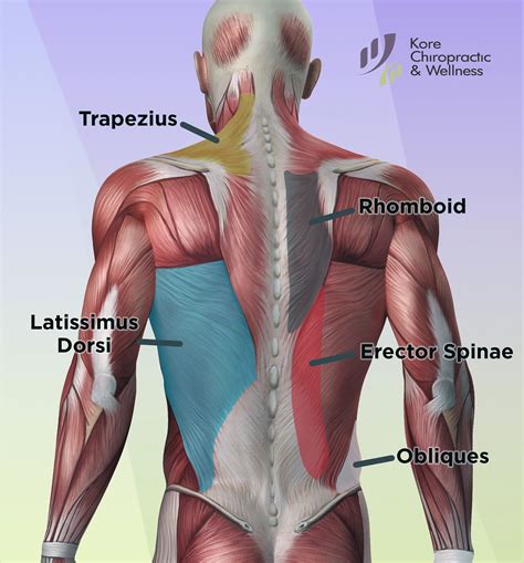 Upper Cross Syndrome Ucs Can Simply Be Described As Muscle Imbalance