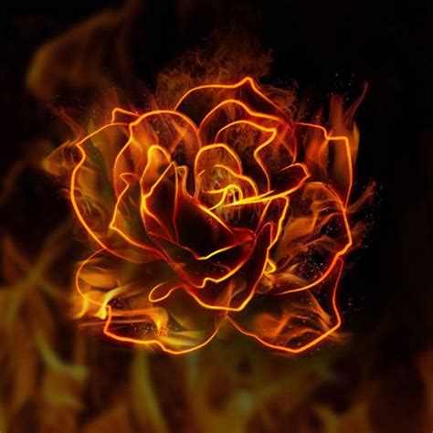 10 Steps To Create A Flaming Rose In Photoshop Fire Art Fire