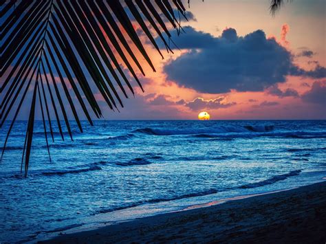 Картинка барбадос карибское море вечер пляж закат солнце красиво природа берег море