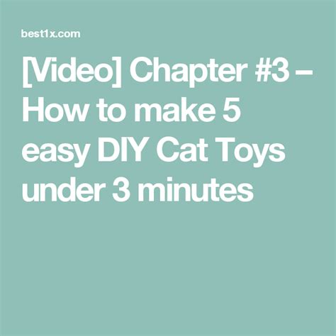 Video Chapter 3 How To Make 5 Easy Diy Cat Toys Under 3 Minutes