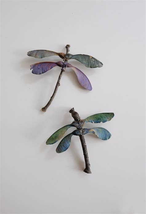Kids Create Maple Seed Dragonflies Seed Craft Dragon Fly Craft