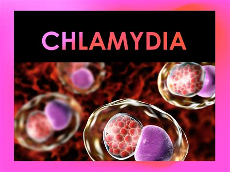 Chlamydia Pulse Gallery