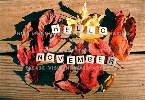 Hello November Leaves Photography Autumn Love November 1162x800
