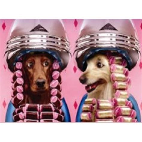 Browse petting zoos in port st lucie and contact your favorites. Doggy 'doos Mobile Grooming Port Saint Lucie, Florida 34984