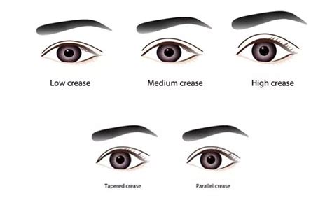 Monolid Eyes Epicanthal Folds Causes Atelier Yuwaciaojp