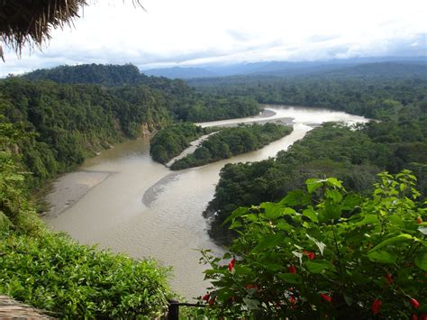 Amazon River Basin Ecuador River Basin River Amazon River