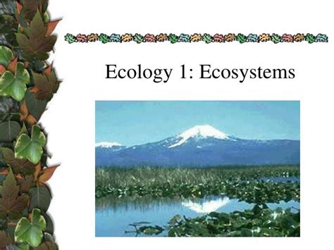 Ppt Ecology 1 Ecosystems Powerpoint Presentation Free Download Id