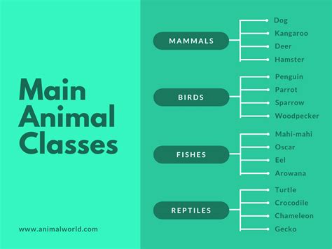 Peta Minda Kreatif Dan Menarik Contoh Dan Cara Membuat Mind Mapping