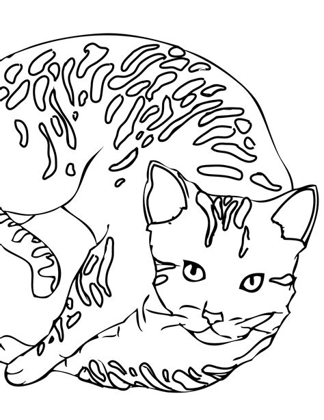 AMORE View Dibujos De Gatos Para Colorear Background