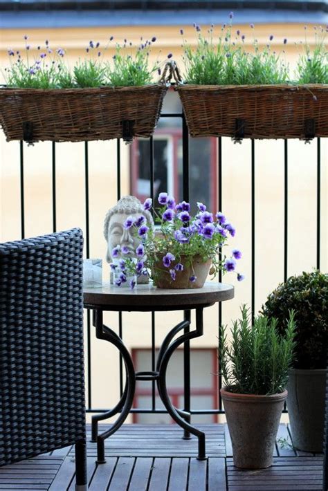 How To Choose Plants For Your Balcony L Essenziale