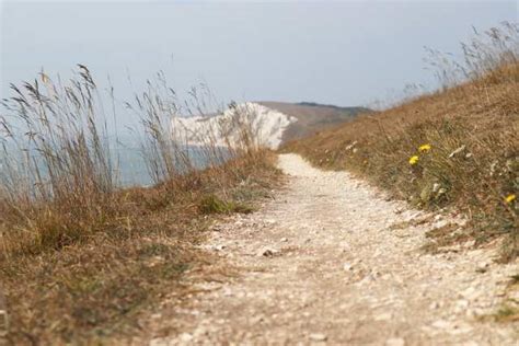 Things To Do In Isle Of Wight Plum Guide